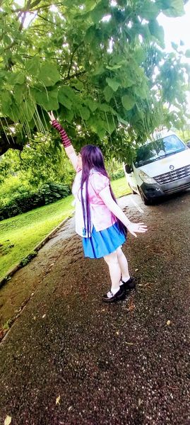 Koki - Mikan tsumiki 