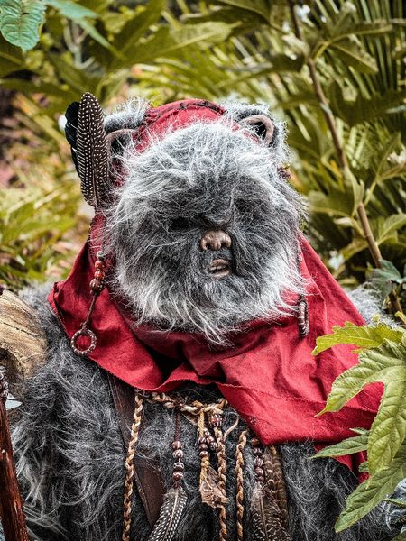 Utinni - Un Ewok À Vitrolles