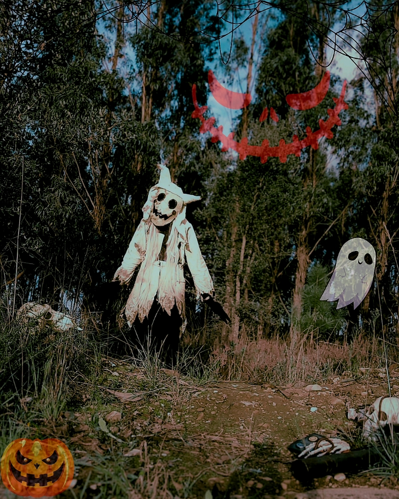 Halloween 2024 - Photo 4