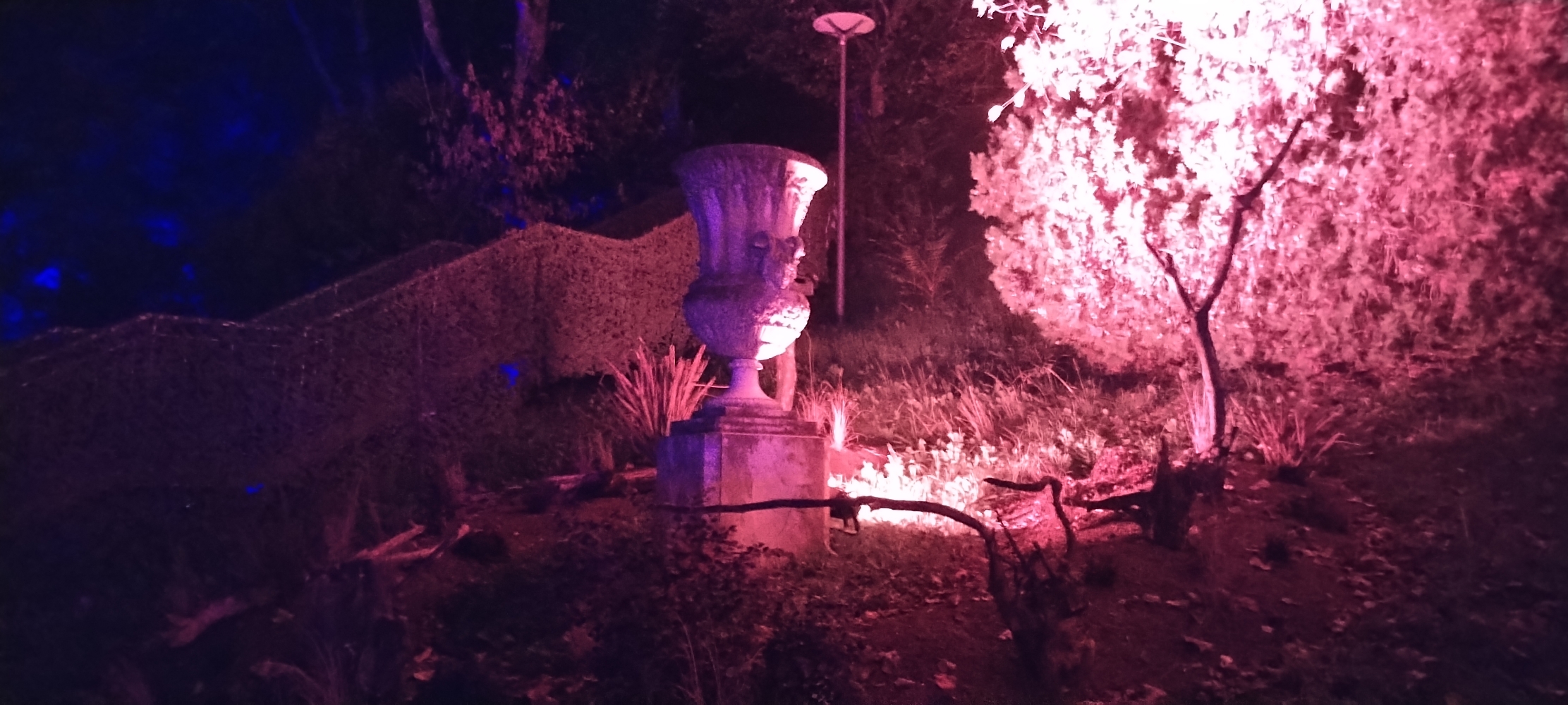 La forêt interdite - Photo 19