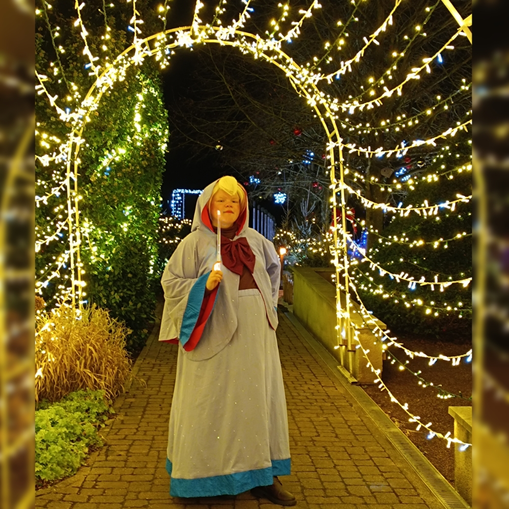 Bonne fée de Noël — photo 11