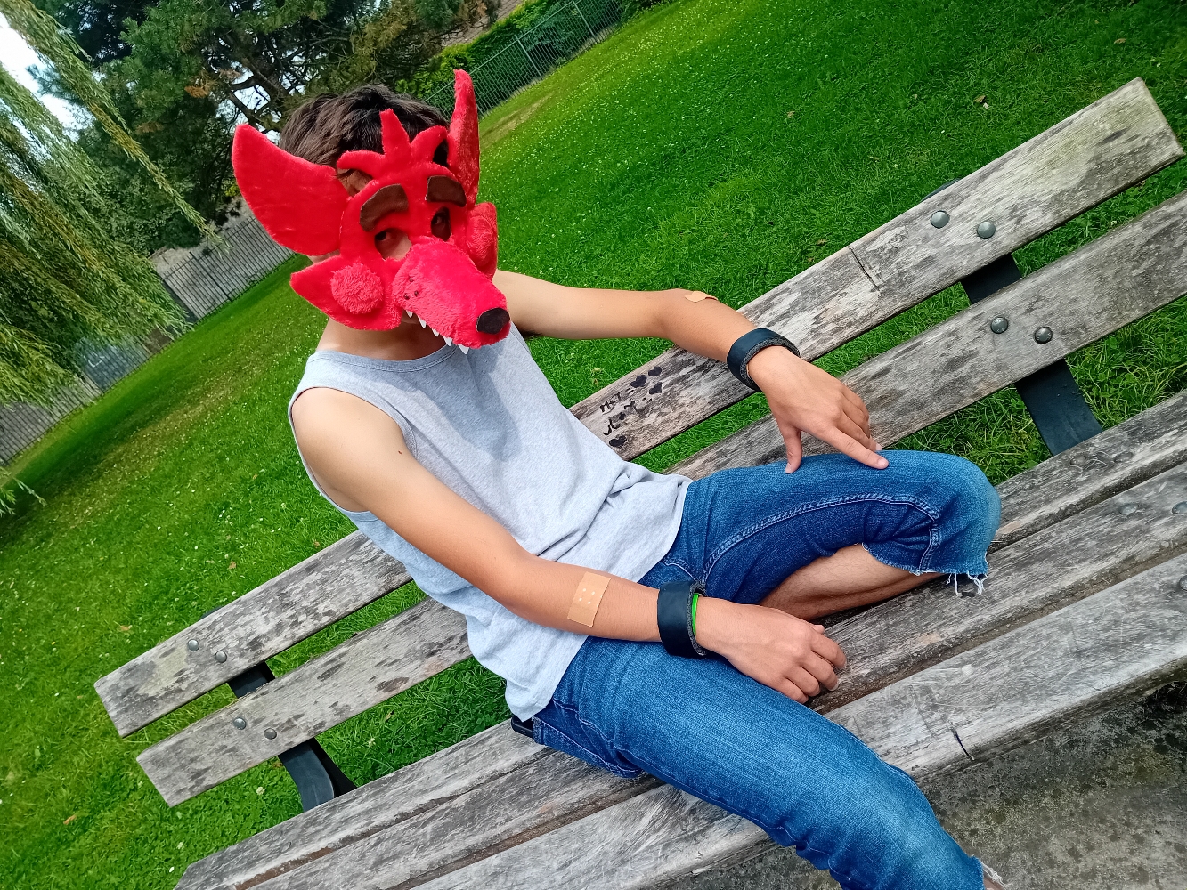 Orchies Festival - Photo 6