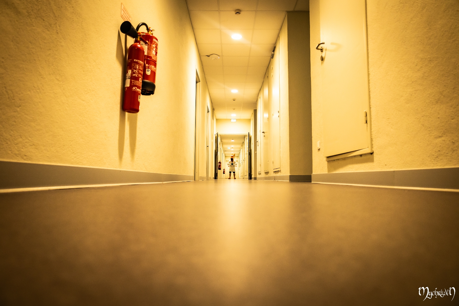 Professor Magicarpe  - Photo 1