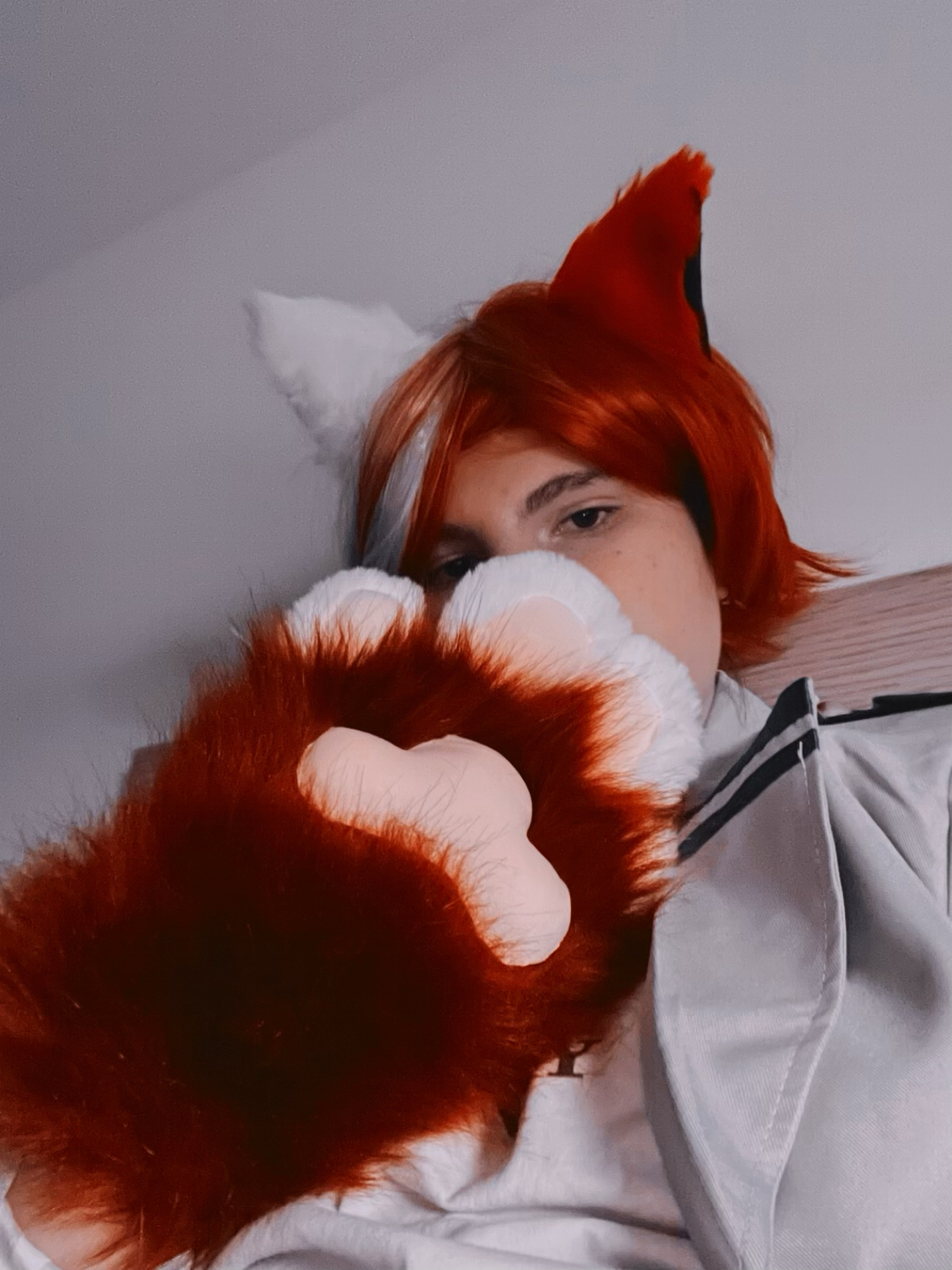 Shoto todoroki chat — photo 12