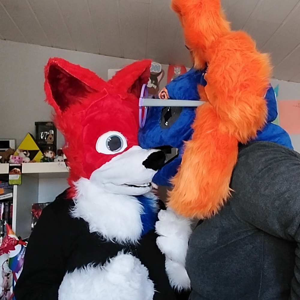 Stellar et Rød Ulva