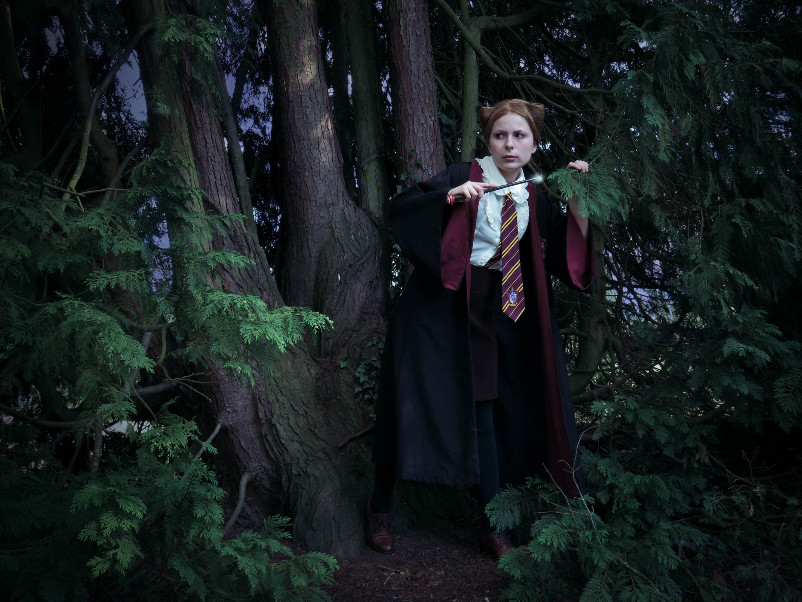 Mary Tudor H.P — photo 11