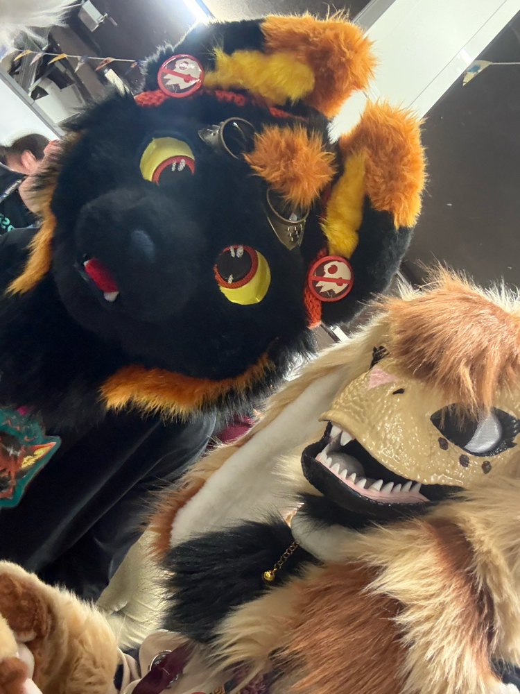 Photos Tapioca - Photo 20