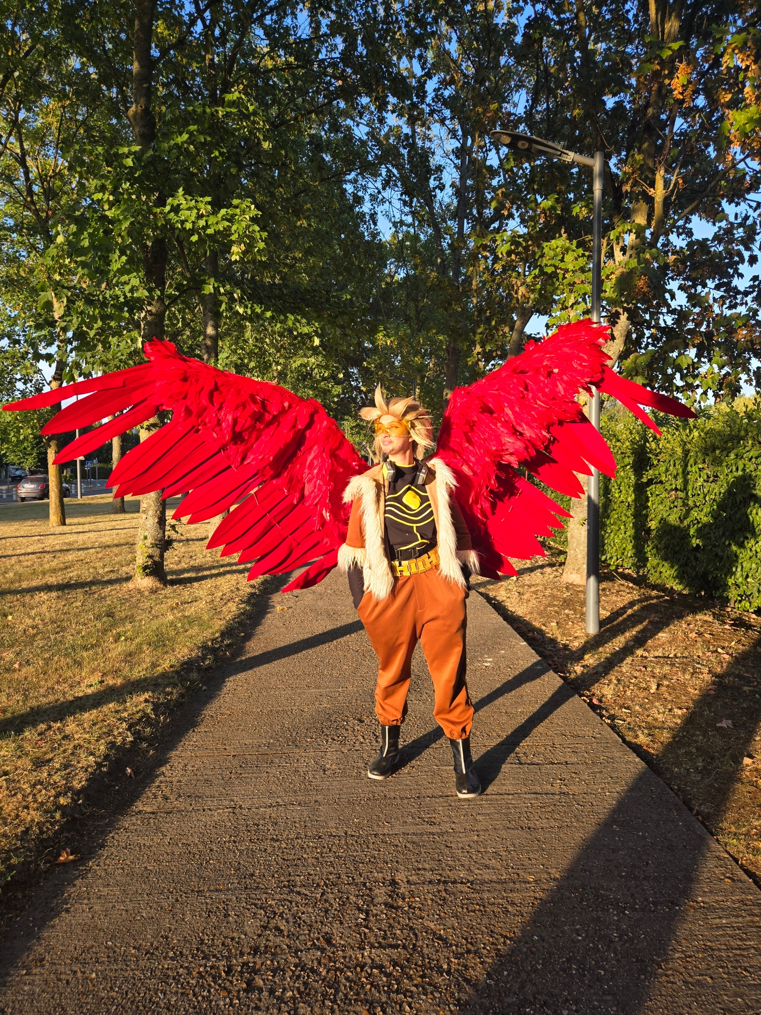 Hawks — photo 209