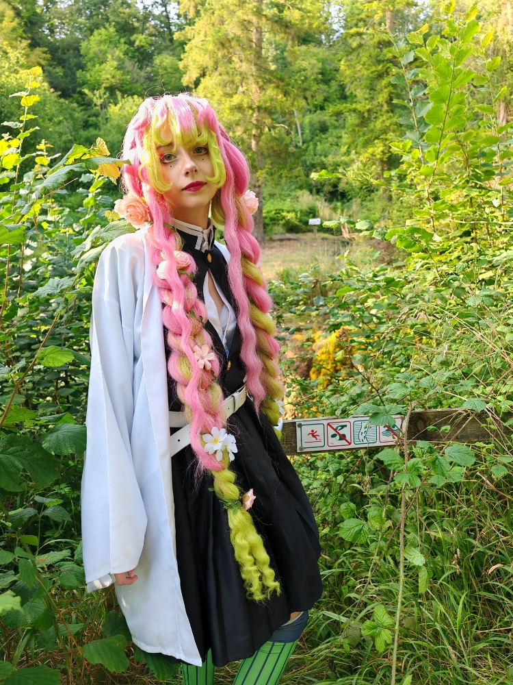 Mitsuri kanroji — photo 10