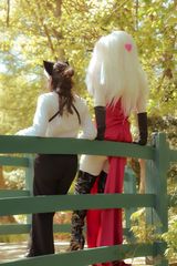 Hanami preview 2