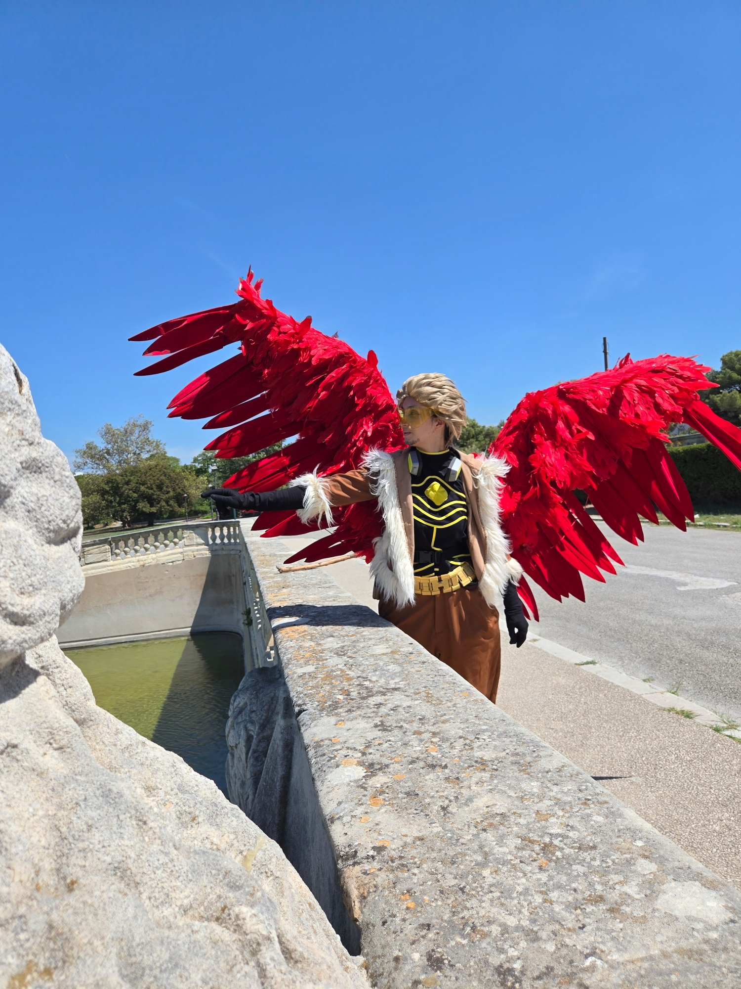 Hawks, photo 200