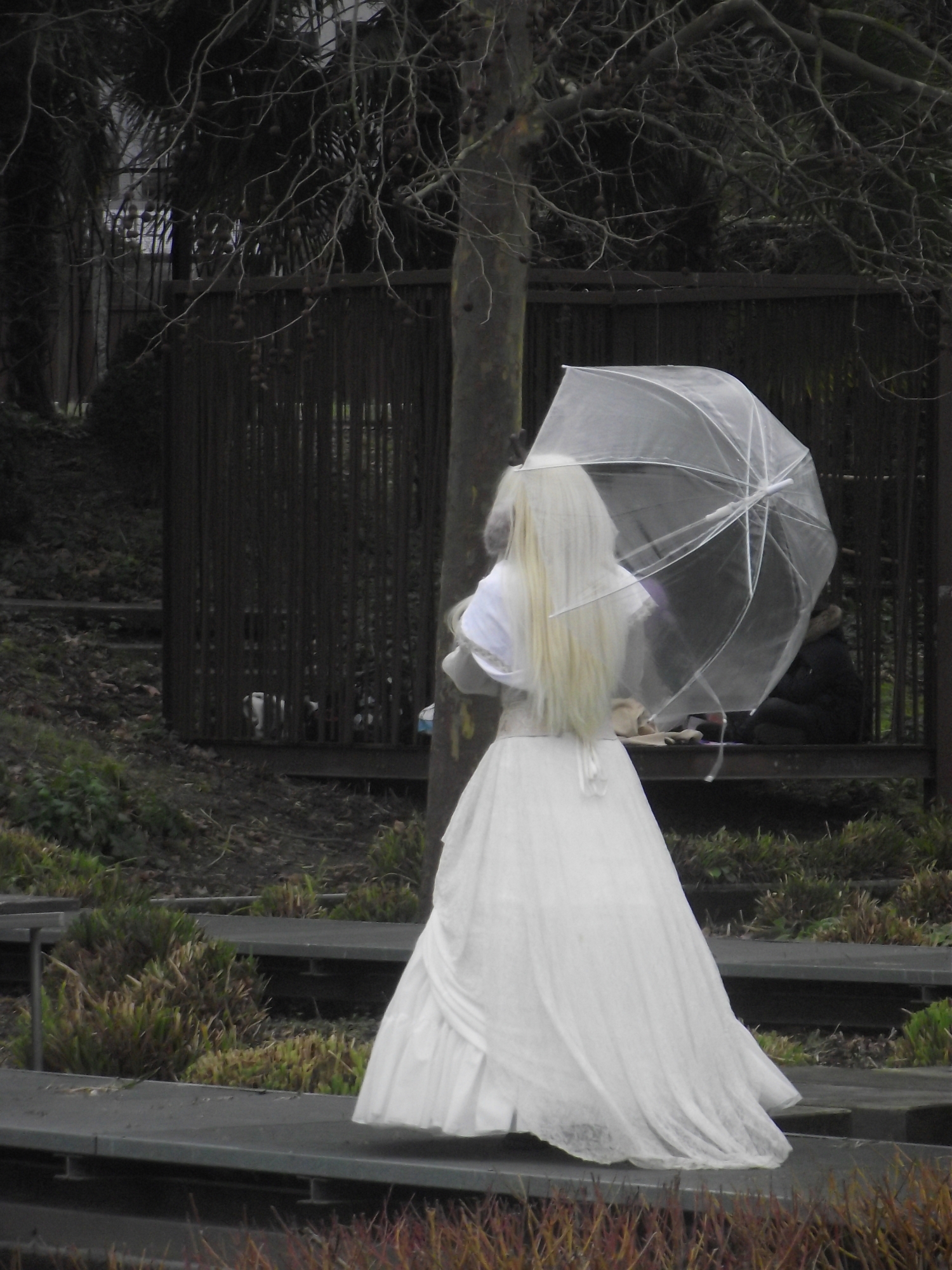Noelle — photo 11