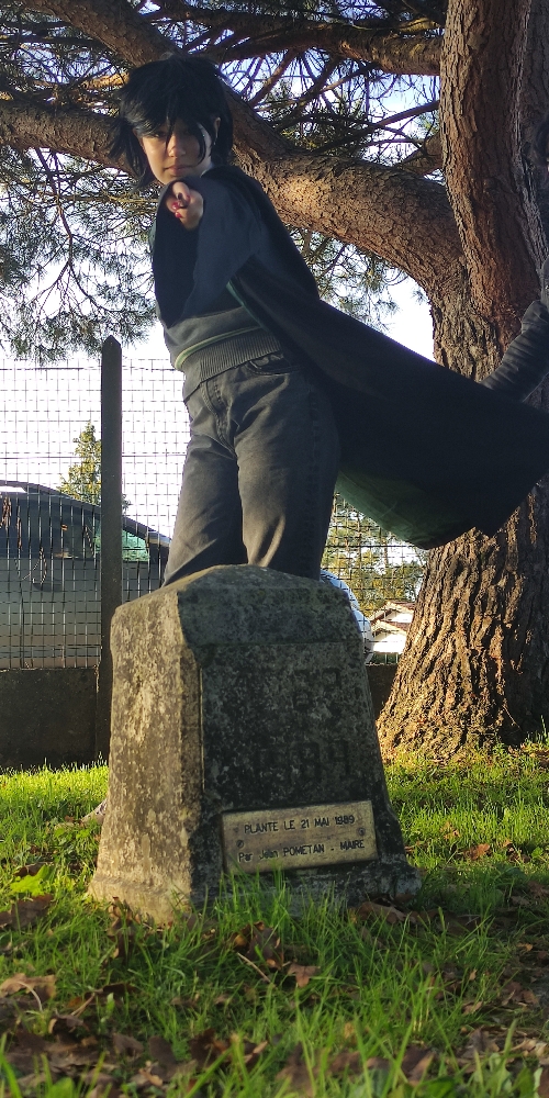 Régulus Black v1 - Photo 2