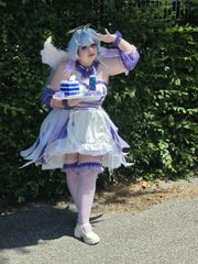 Robin Maid Herofesti preview 3