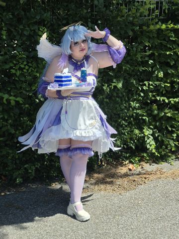 Robin Maid Herofesti