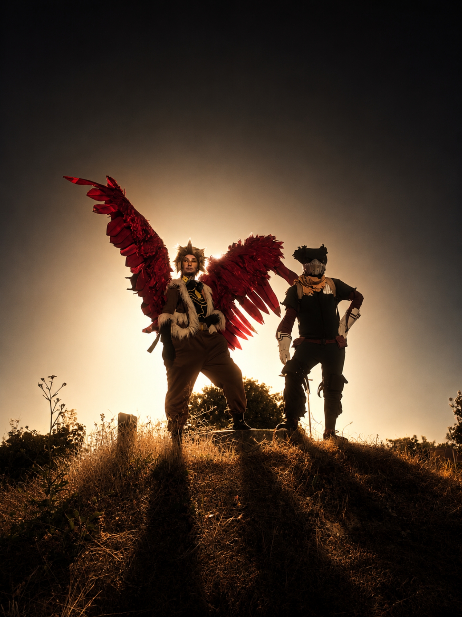 Hawks — photo 73