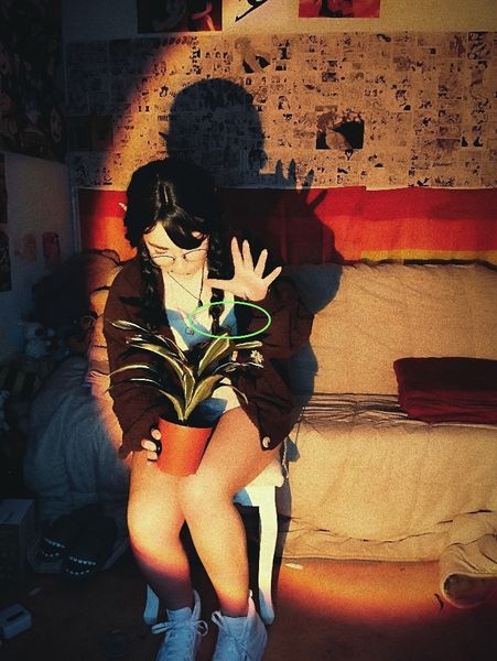 Lola - Willow