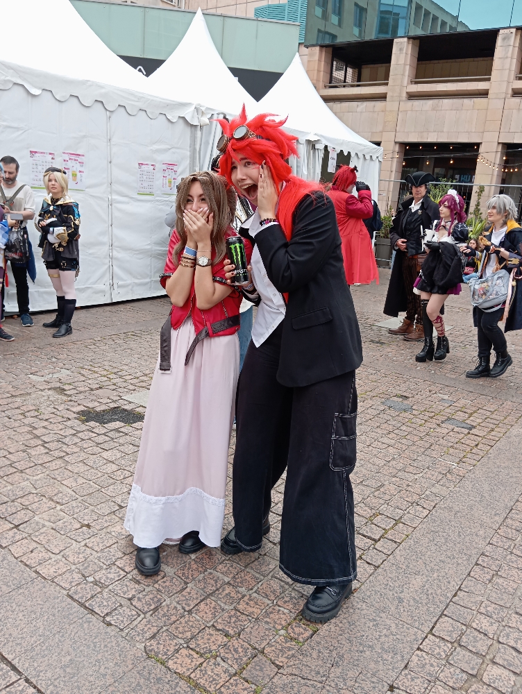 Groupe FFVII - Photo 10