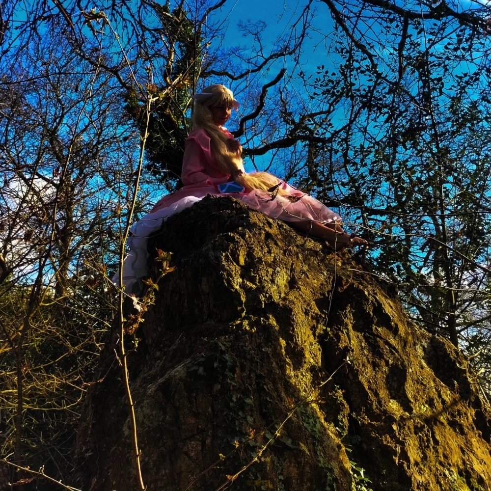 Mavis vermillion  - Photo 29