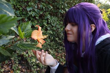 Fern preview 3