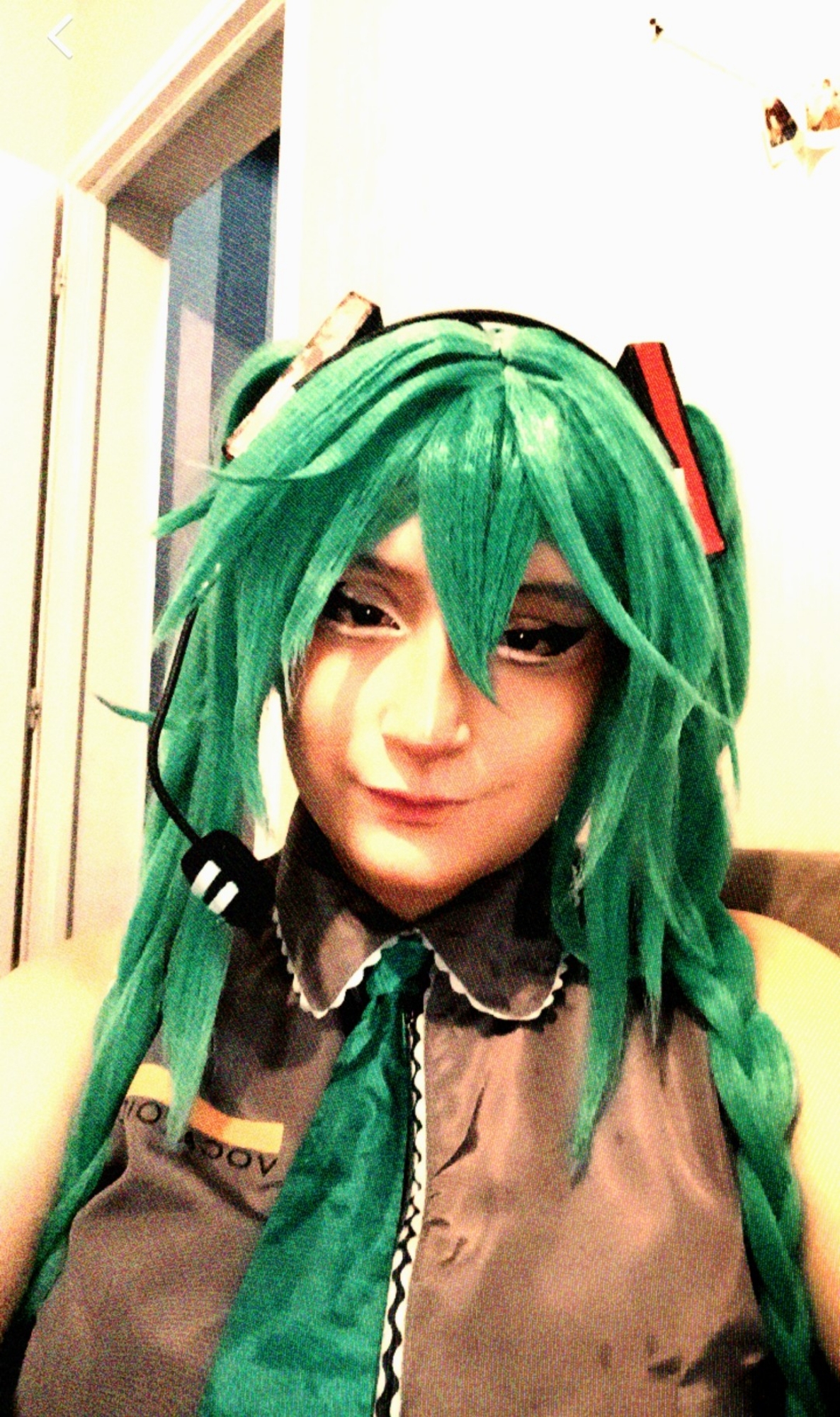 Miku — photo 8