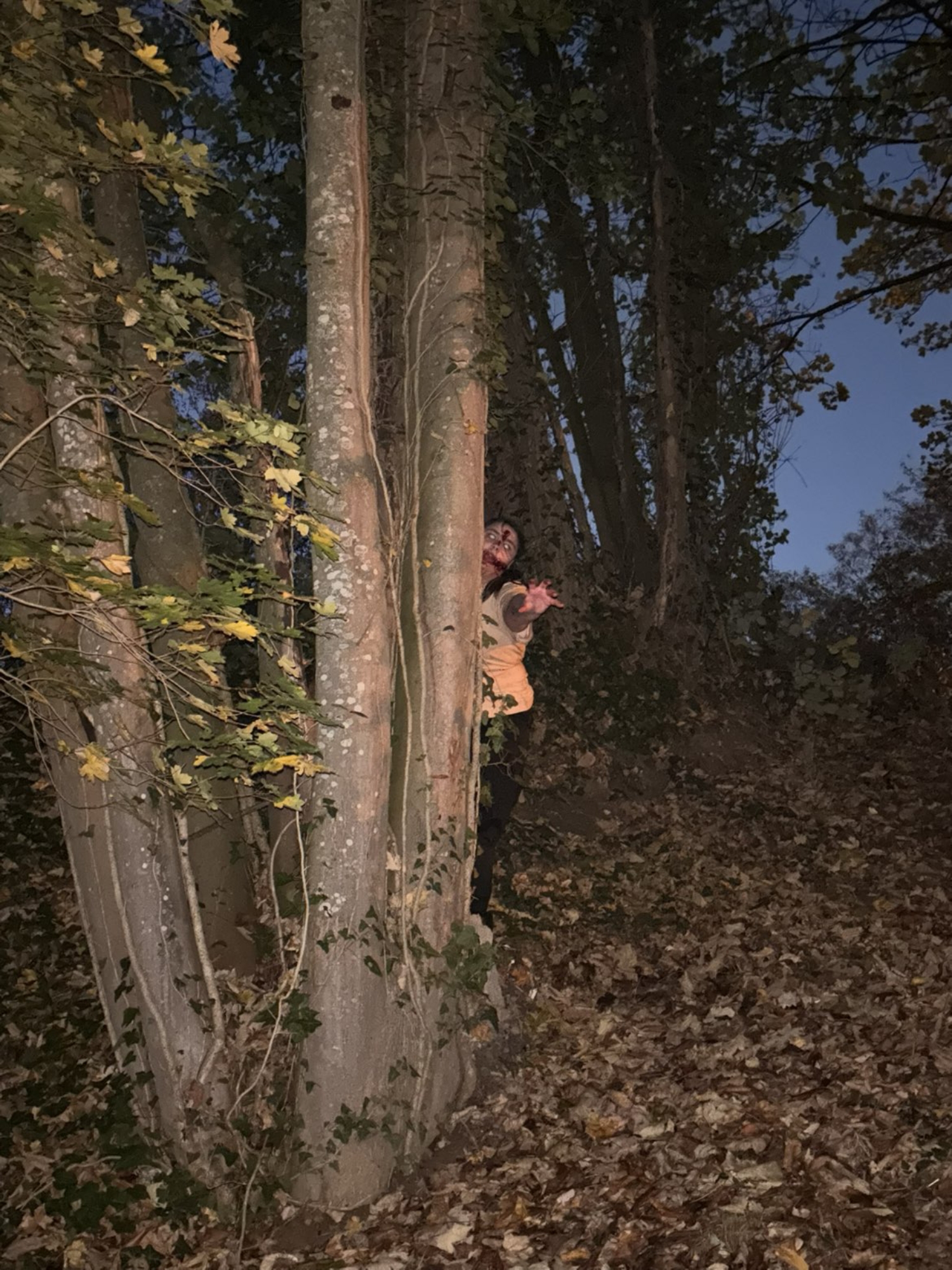 Zombie halloween — photo 10
