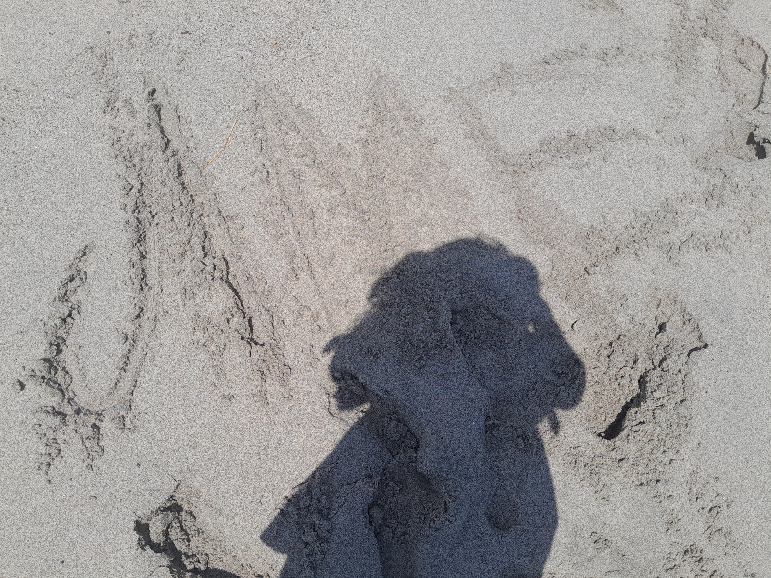 Ame-chan — photo 13