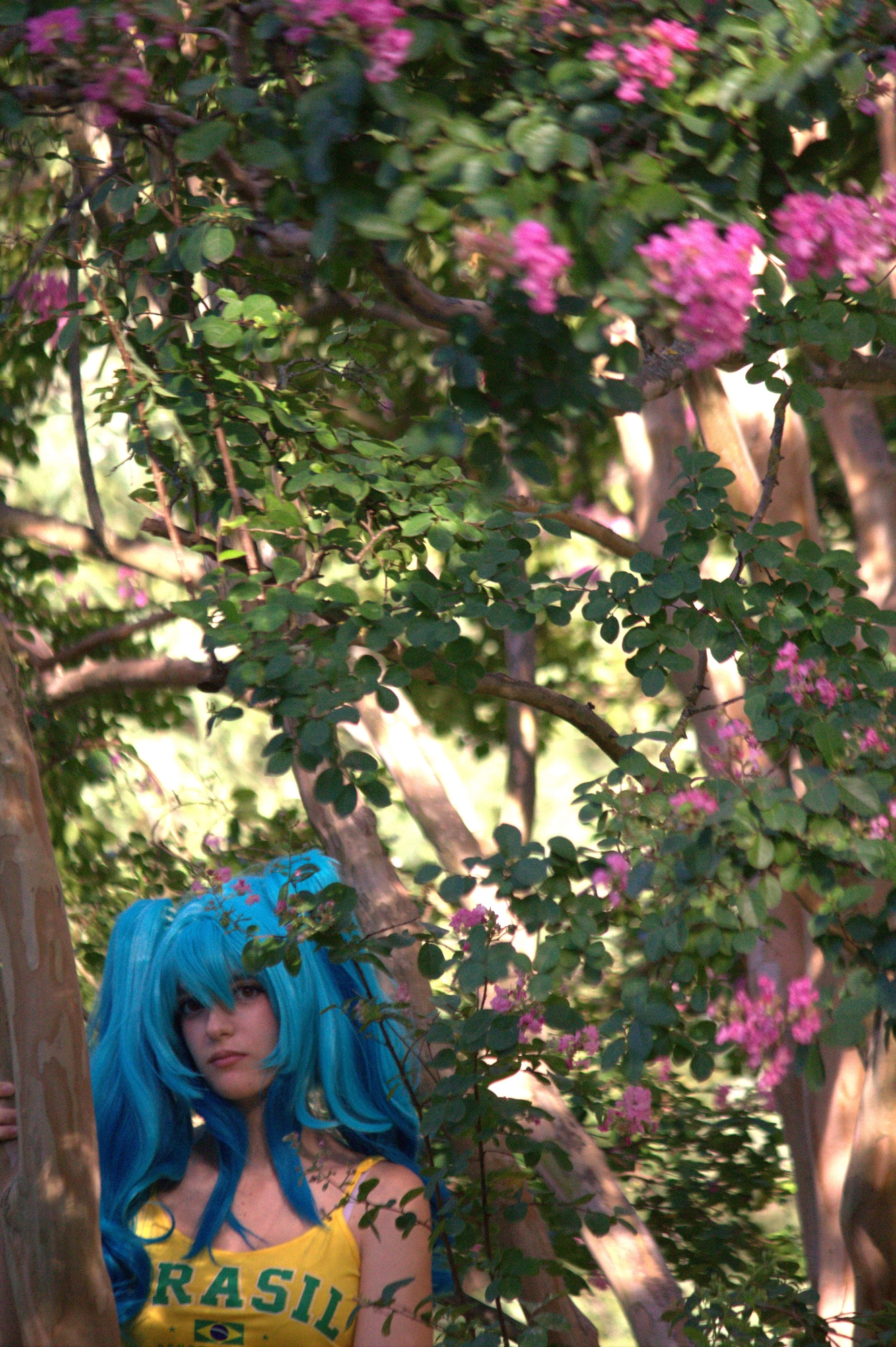 Hatsune Miku Brésil, photo 20