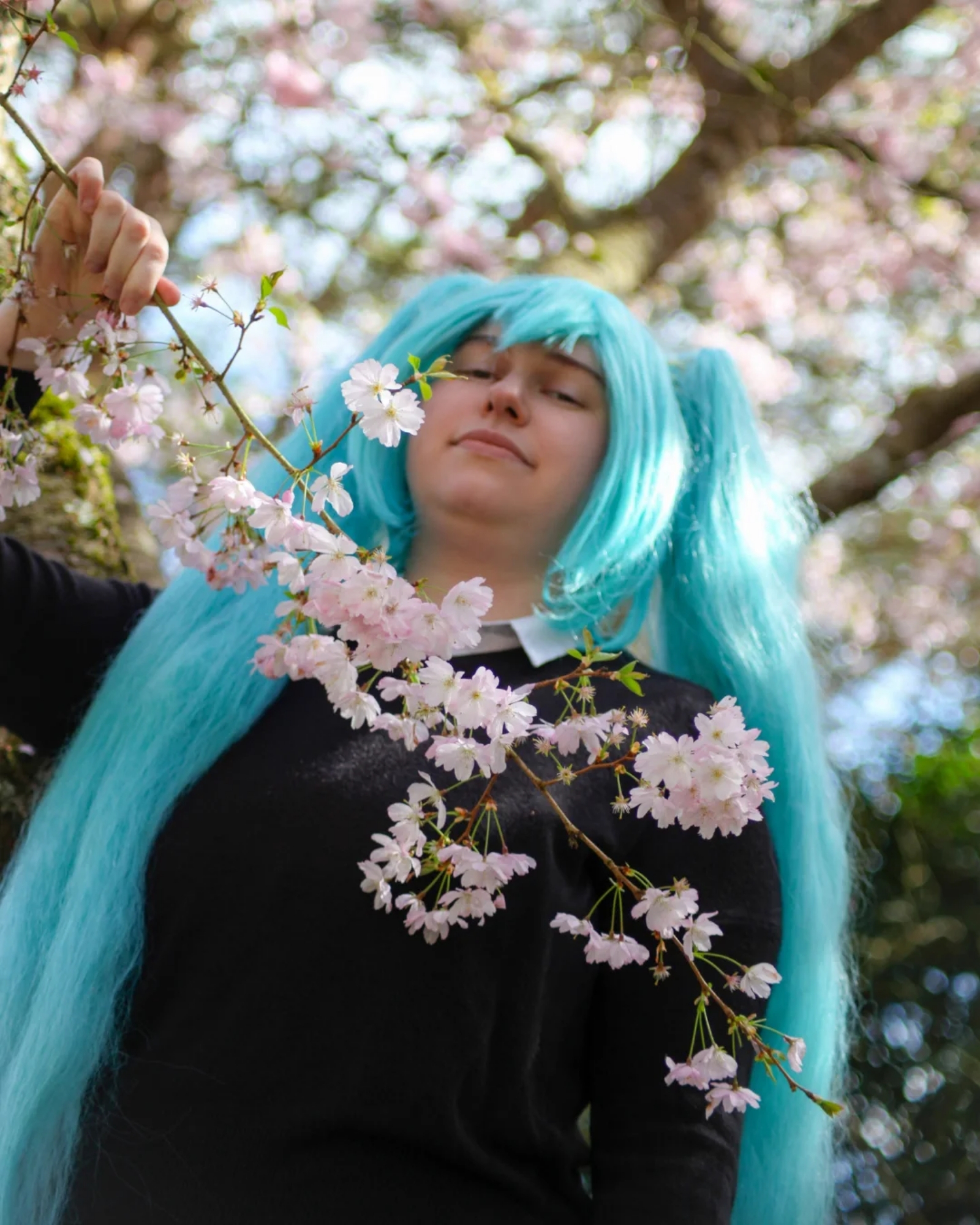 Rolling Girl Miku — photo 8