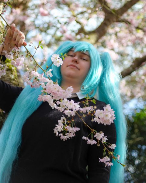 Octopoulpy, Rolling Girl Miku