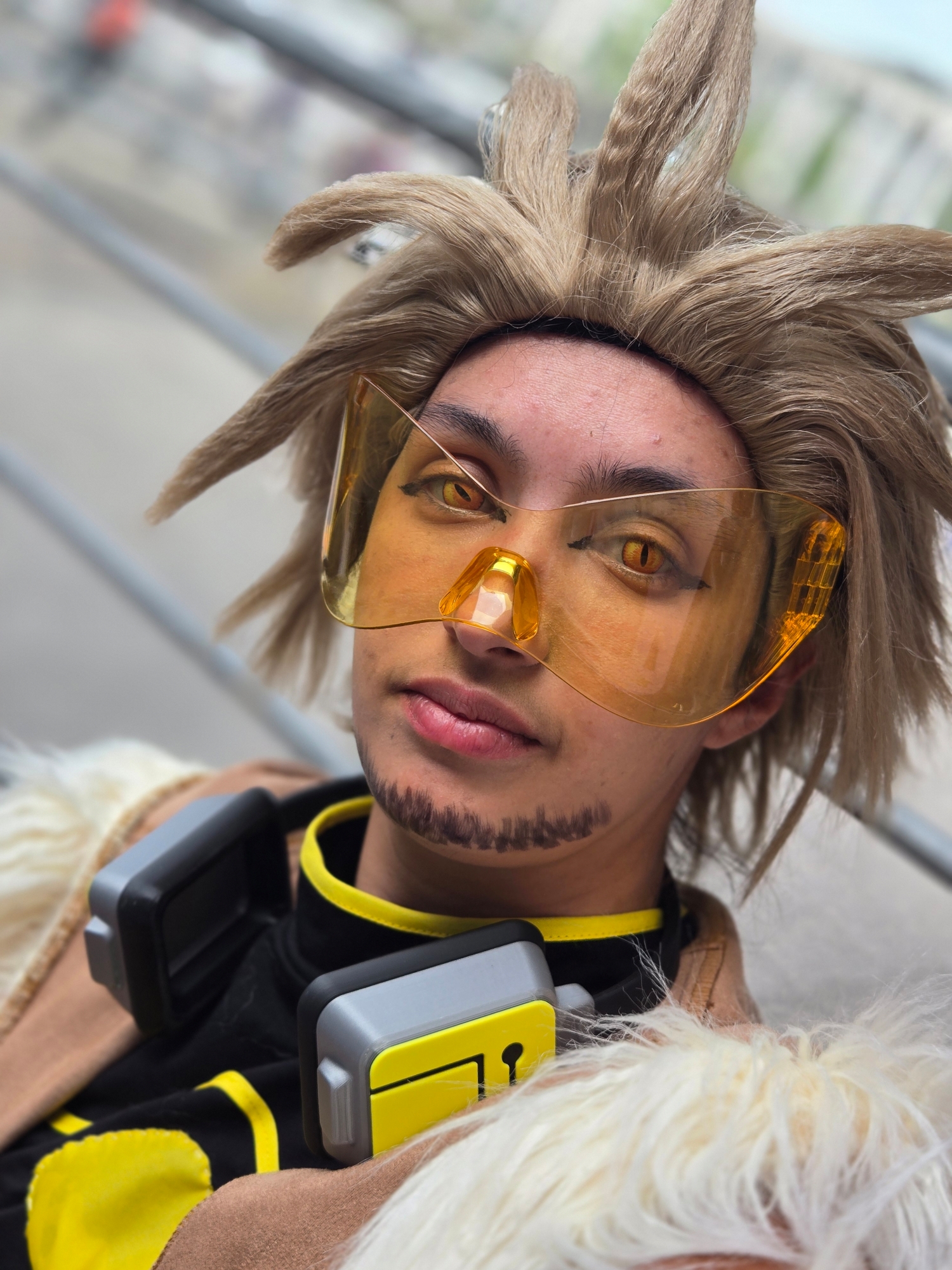 Hawks — photo 20