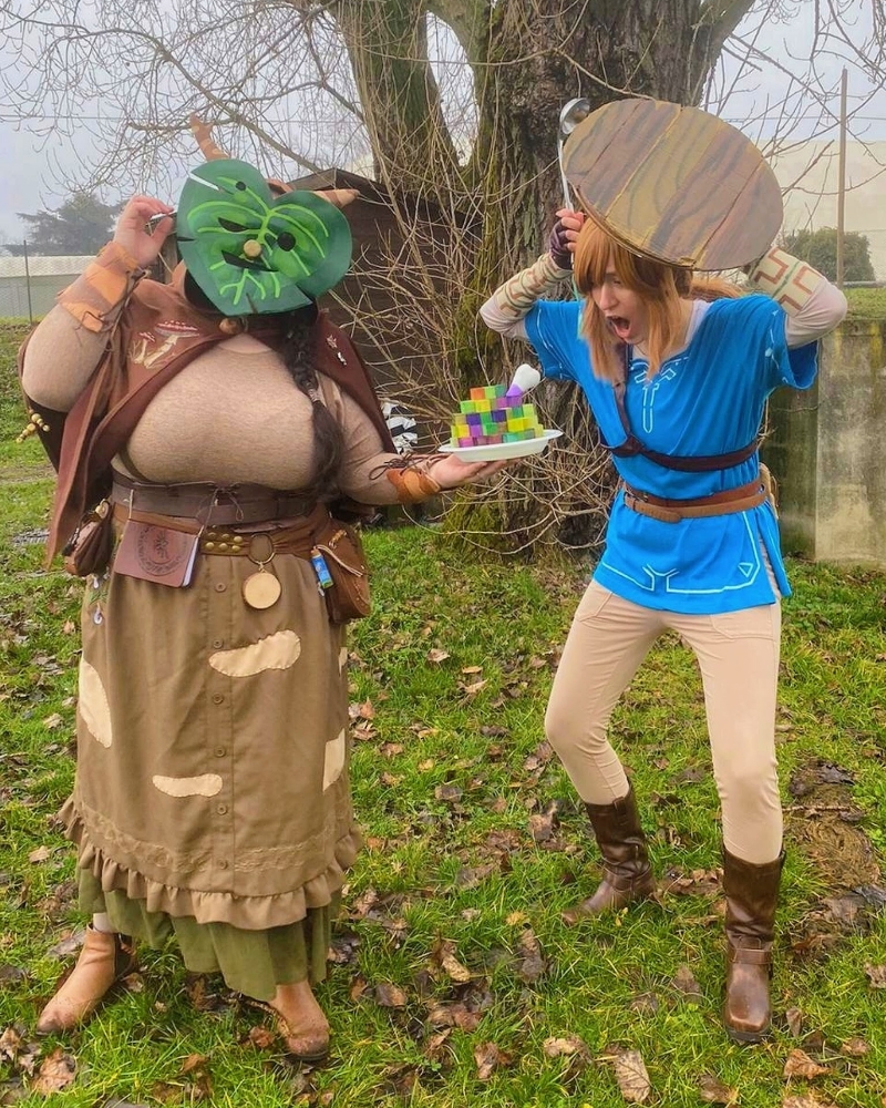 Link (Botw) - Photo 3