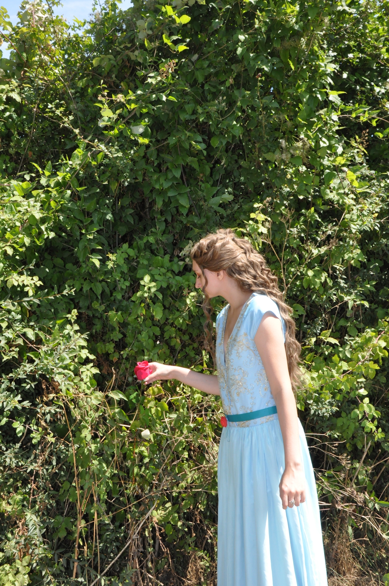 Margaery Tyrell - Photo 31