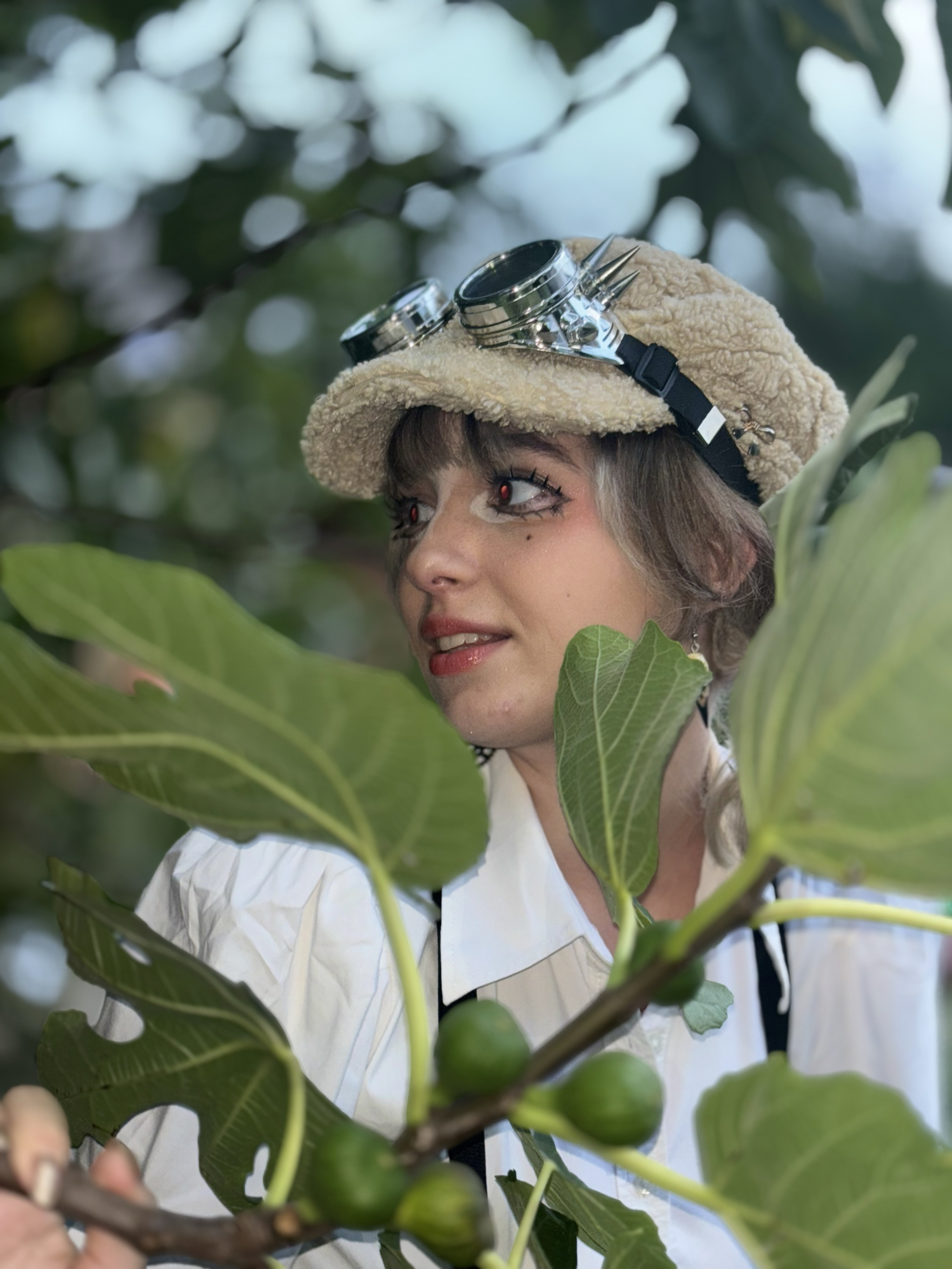 Shelly dandy’s(2025)