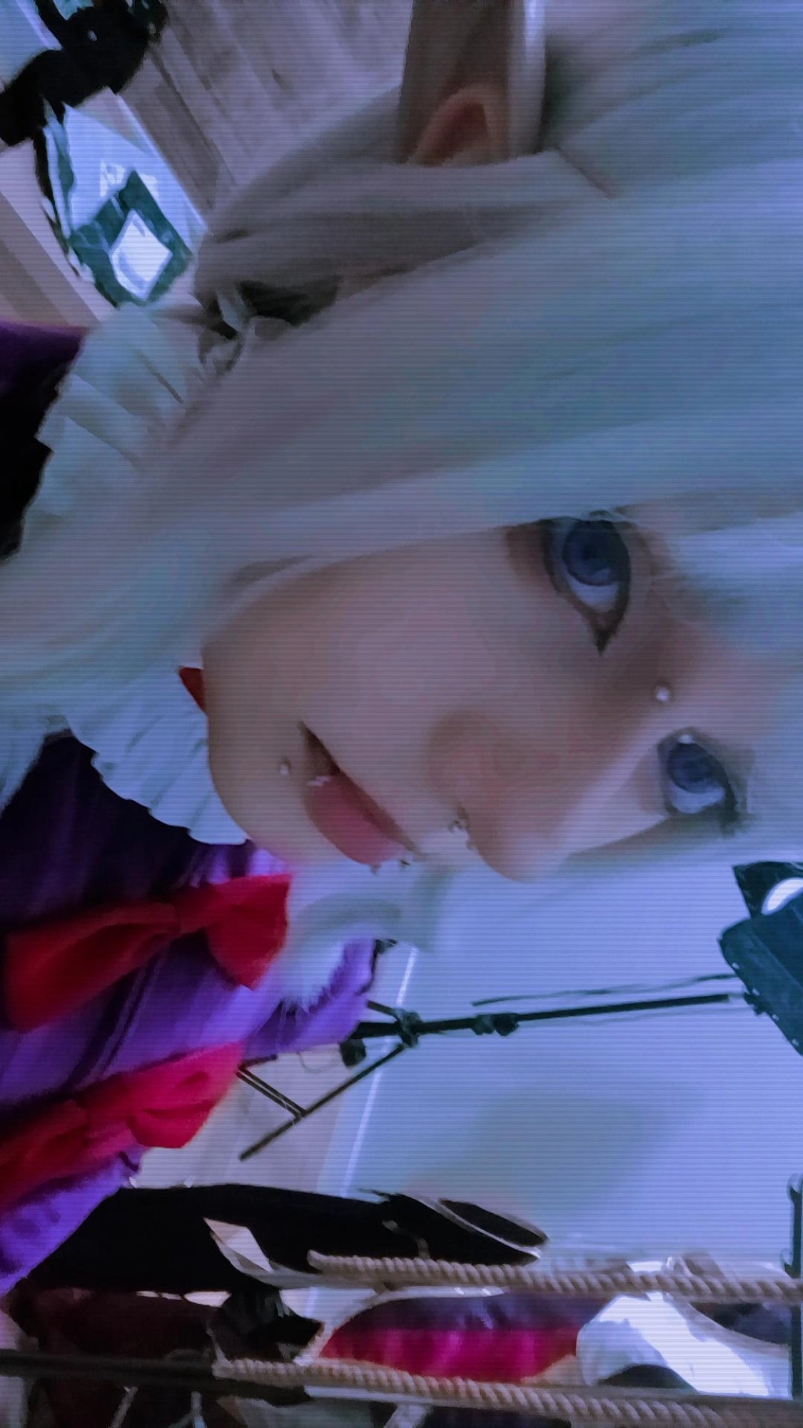 Thistle 2025 - Photo 1