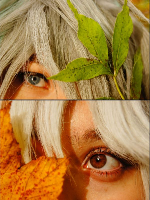 Lia_cos• – Alhaitham et nahida