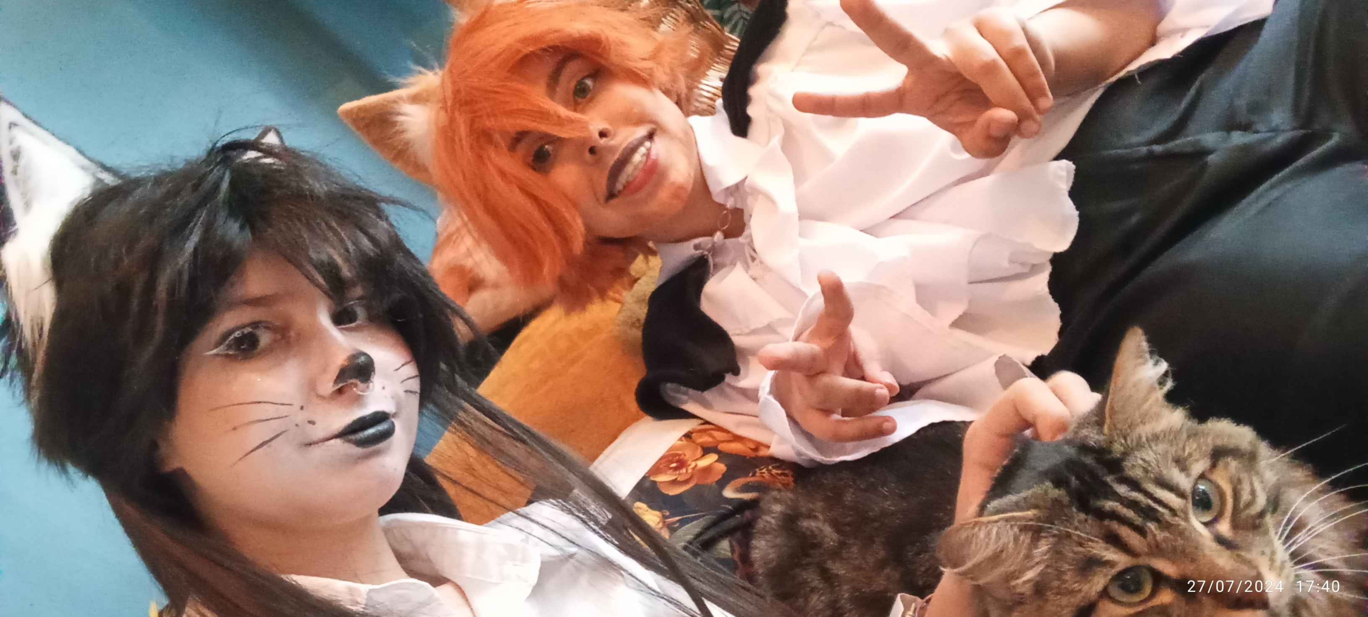 Chat Potté  - Photo 3