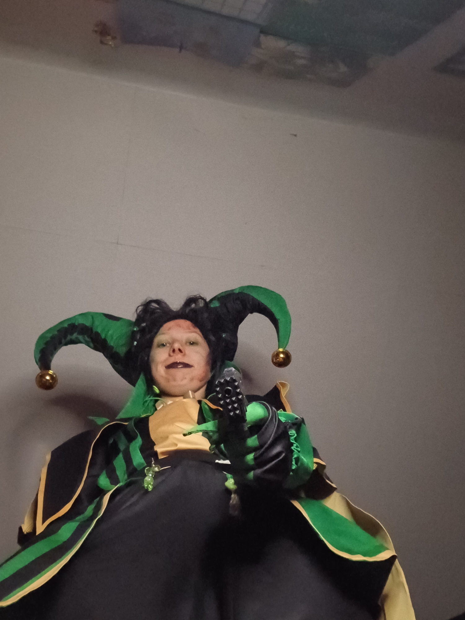 Harlequin, photo 27