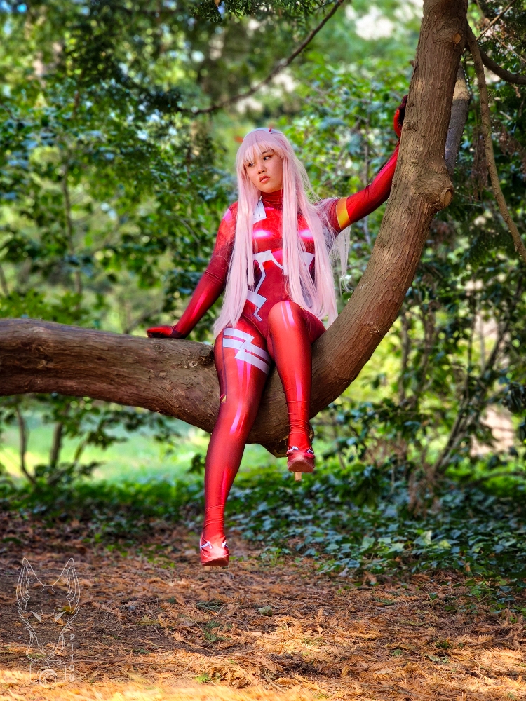 Zero two - Photo 7