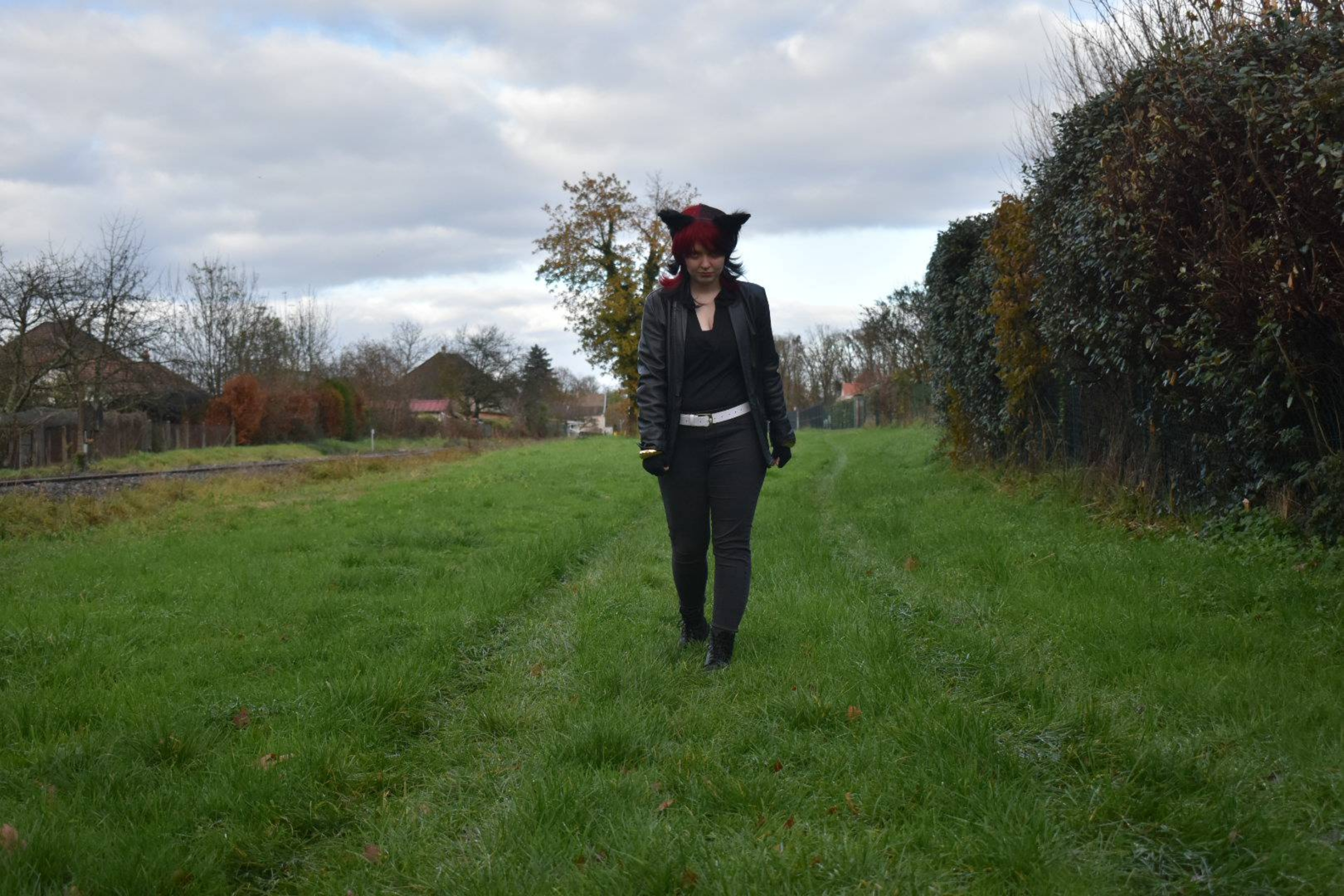 Shadow the Hedgehog — photo 6