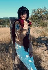 Mikasa preview 3