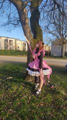 Sakura preview 2