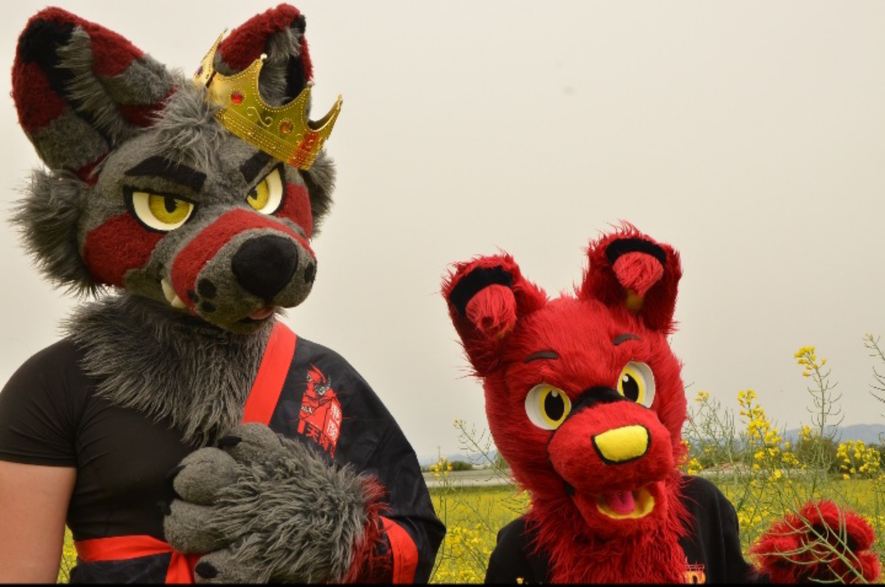 Nicko & Hatsu - Photo 7