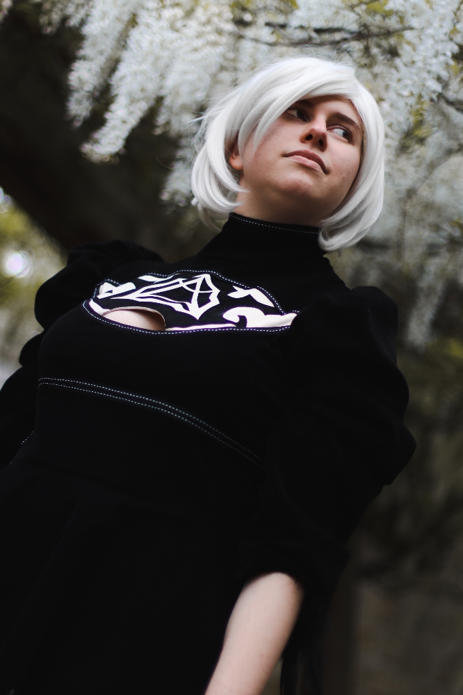 2B (Parc île St.Germain)