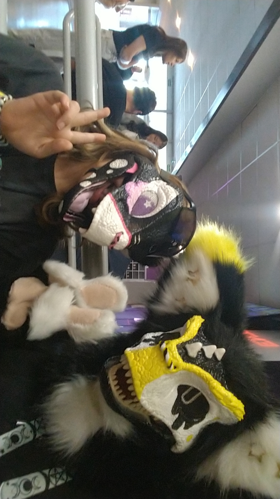Conv/furmeet  - Photo 8