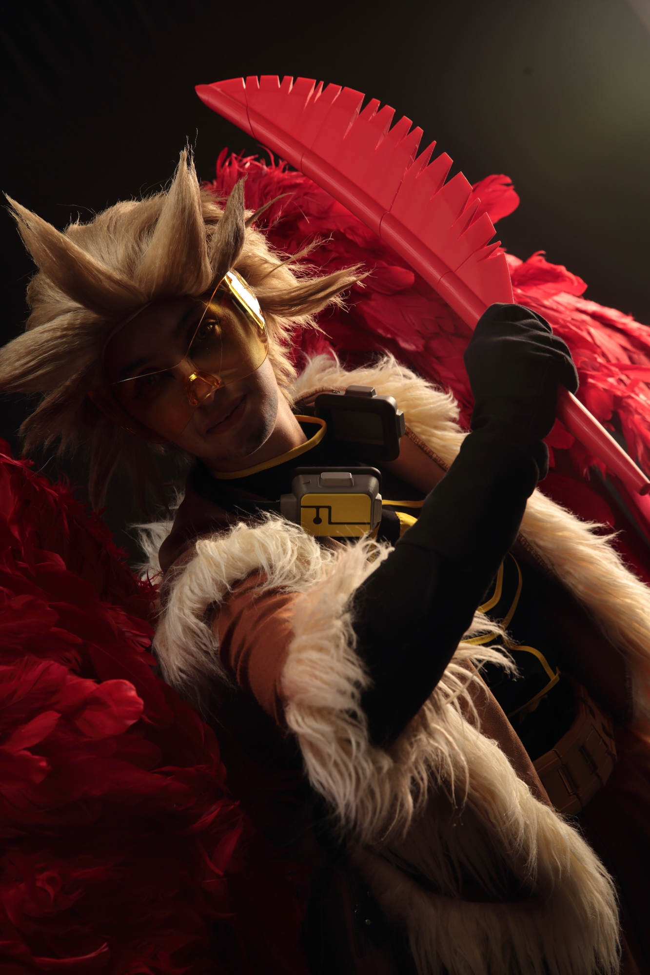 Hawks — photo 16
