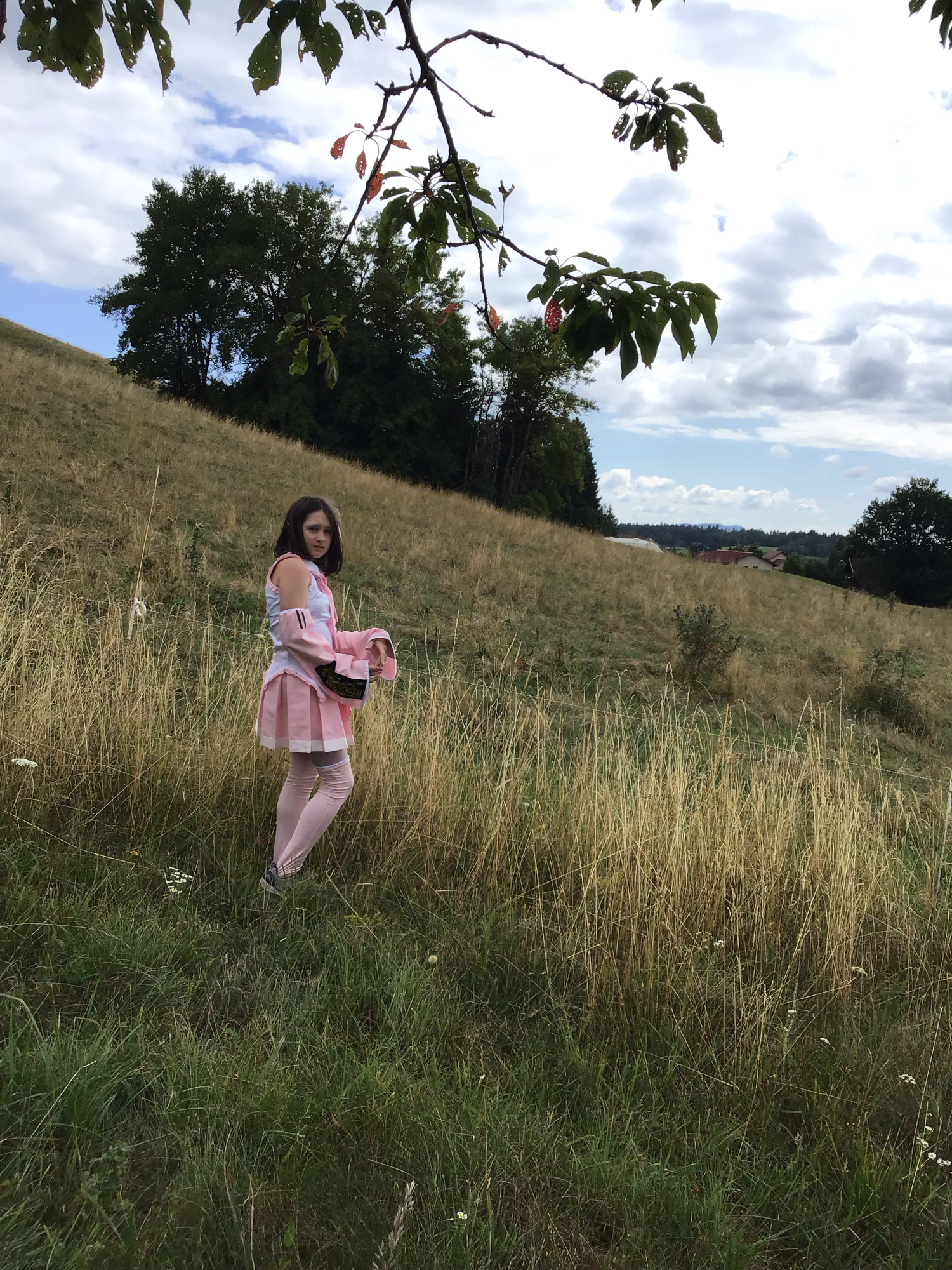 Sakura miku - Photo 1