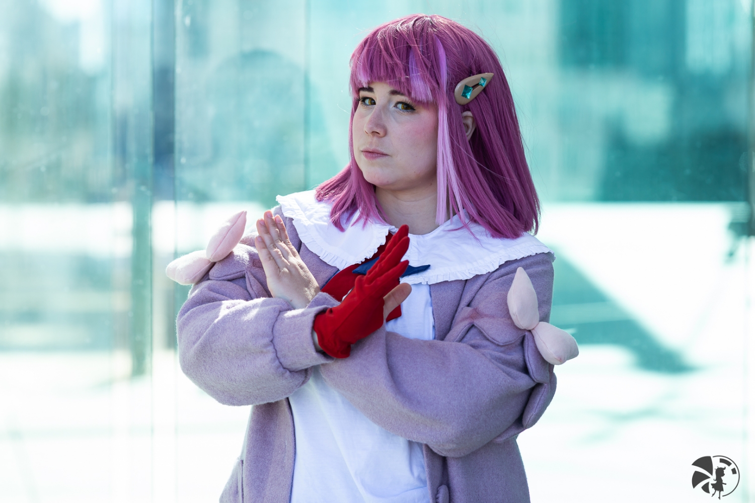 Taro — photo 8