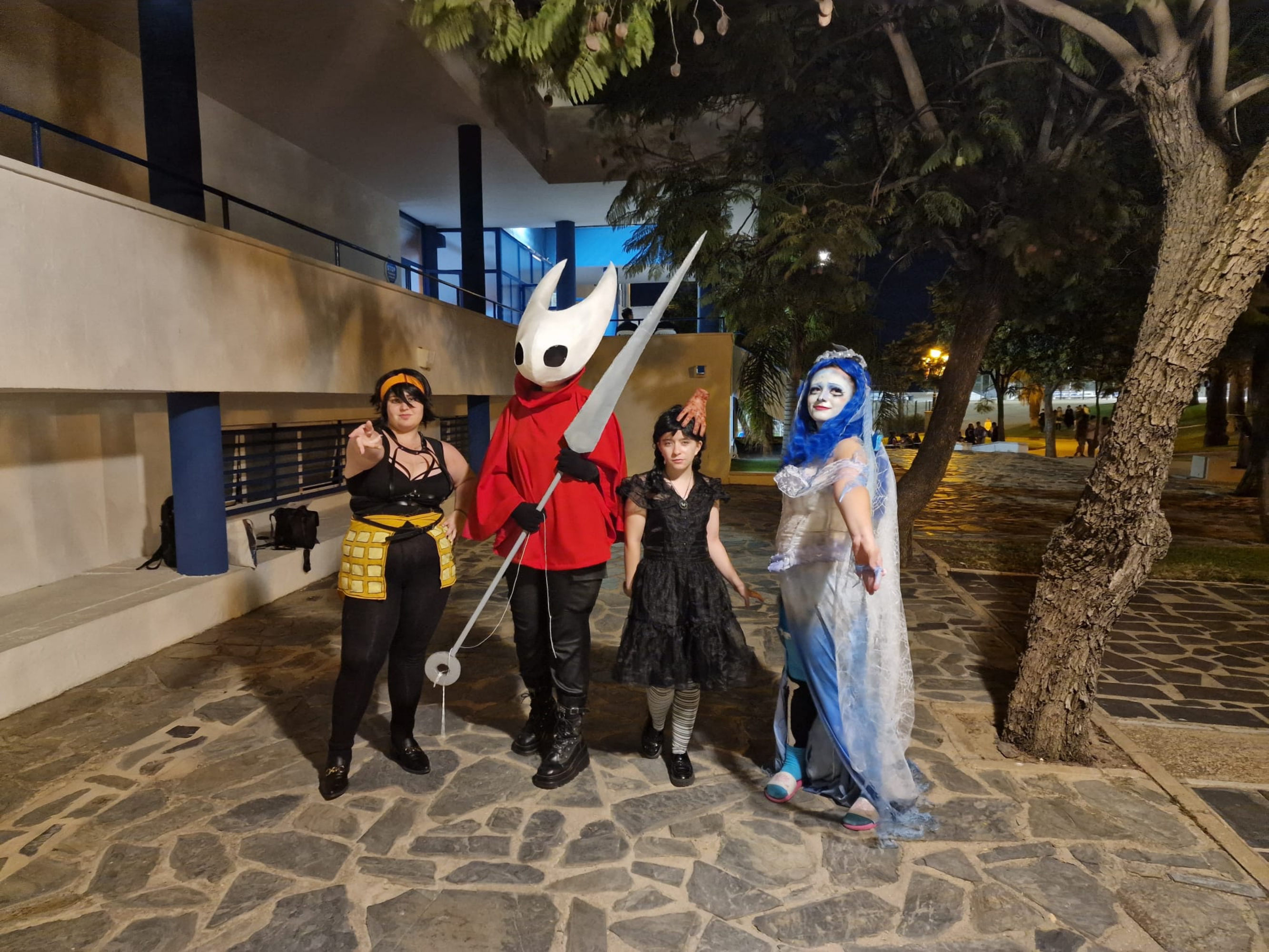 Hornet — photo 27
