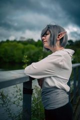 Echo preview 2